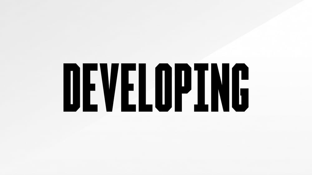 DEVELOPING